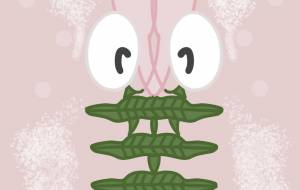 怪物の花 - アクター 