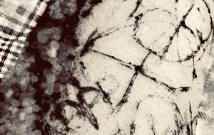 disappear - 春野しばいぬ 