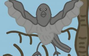 木に止まっている野鳥 - アクター