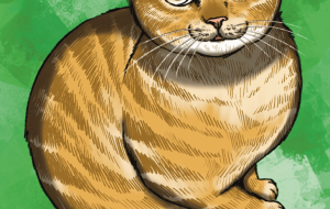 チャン太 - Yukari 