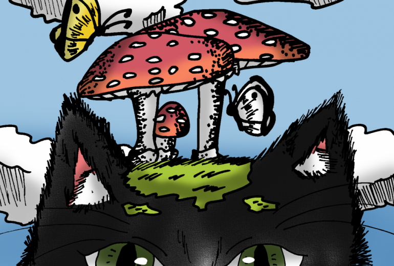 猫の頭上のベニテング島