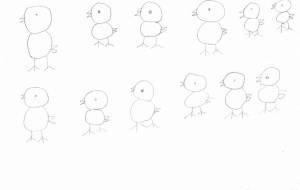 アヒルの仲間たち - バニ 