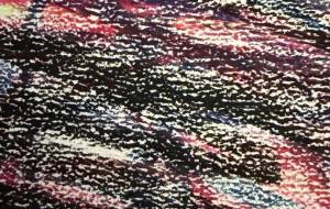 自然界 - 笹谷正博 