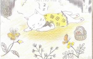 午後のひと時 - Sora 