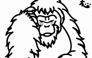 スマトラオランウータン - シマハイエナ