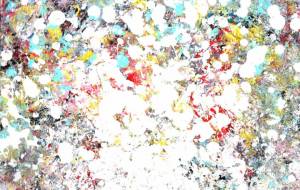 spark - 吉野公賀