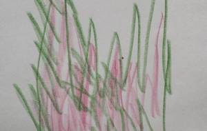 嬉しいです - 笹谷正博