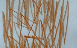 湧かない - 笹谷正博 