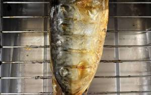 塩サバ焼きました - 笹谷正博 