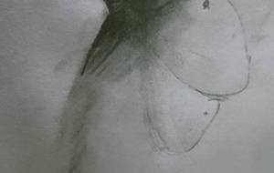 母さん生まれ変わっても（例えば小さな蝶でも命を） - 真鍋哲地 