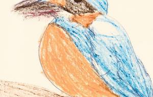 ソニドリ - 水樹 