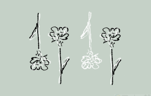 花2 - 琴冬