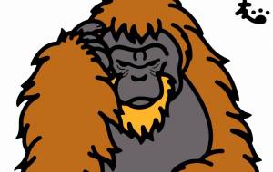 スマトラオランウータン - シマハイエナ 