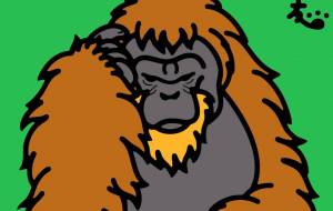 スマトラオランウータン - シマハイエナ 