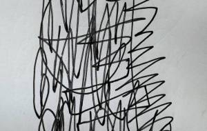 自由 - 笹谷正博 