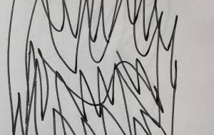 自由 - 笹谷正博 