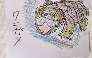 がぉぉワニガメ - たいちゃん 