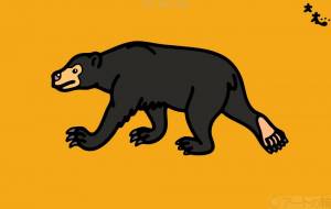 マレーグマ - シマハイエナ 