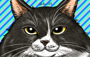 もふねこ - Yukari 