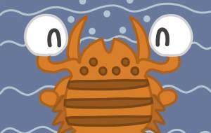 カチバサミガニ - アクター 