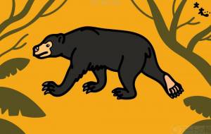 マレーグマ - シマハイエナ 