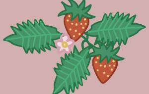 苺ストロベリー - アクター 