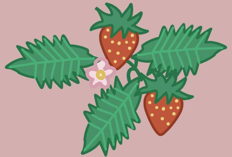 苺ストロベリー