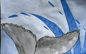 華麗な泳ぎ　鯨さん - 名もなき米3号 