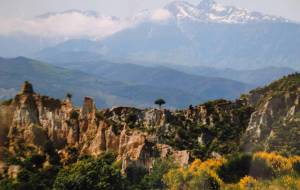 山並みの中の一本木 - エミリ 