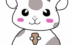 おだいりはむ。 - ゆんちゃ。 