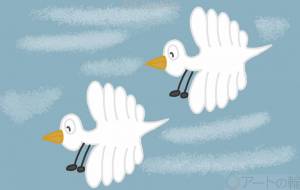 白鳥が空から飛んでいる所 - アクター 