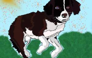 晴れた日のハッピー - 彩鈴 