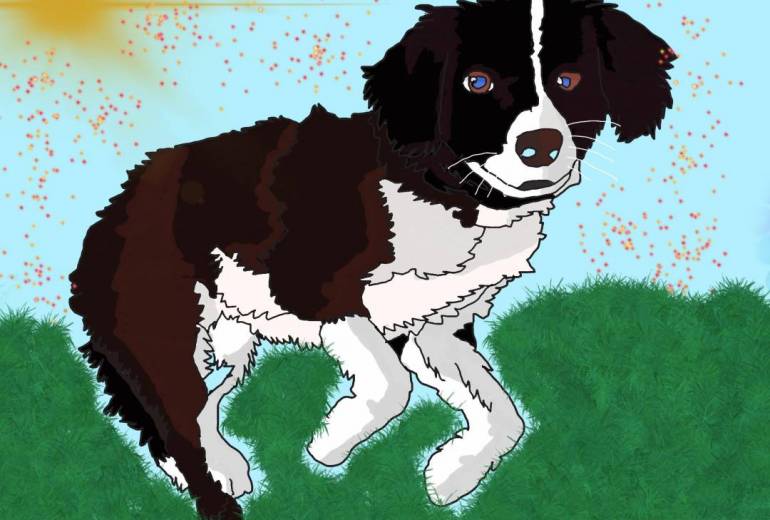 晴れた日のハッピー