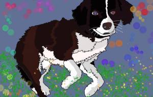 夜の光とハッピー - 彩鈴 