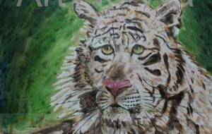 白虎 - 萩原　克典 