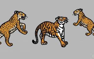 レオポンとベンガルトラ - シマハイエナ 