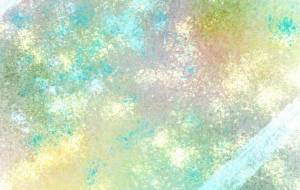 アイデンティティ - wasabi 