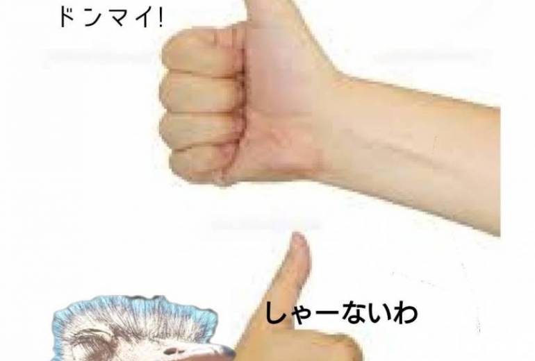 キセキのダチョウ