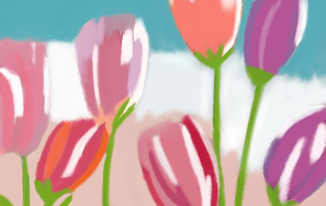 チューリップ - 聖羽SEIHA 