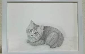 ネコ　リアル鉛筆画に初挑戦 - うちうみ　なおこ 