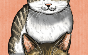 さつき＆さなえ - Yukari 