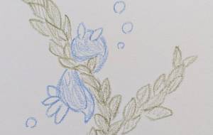 海藻とウミウシ - 暁・丸子 