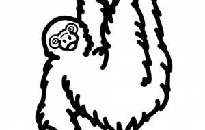 ホフマンナマケモノ - シマハイエナ