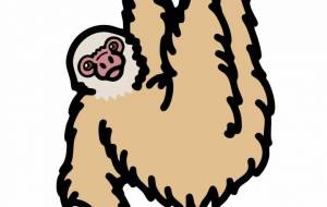 ホフマンナマケモノ - シマハイエナ 