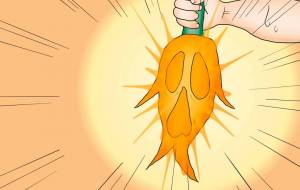 マンドラゴラ - よこぼう 