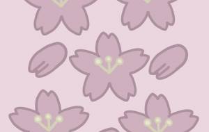桜の花びら - アクター