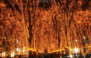 眩き回廊 - さくら 