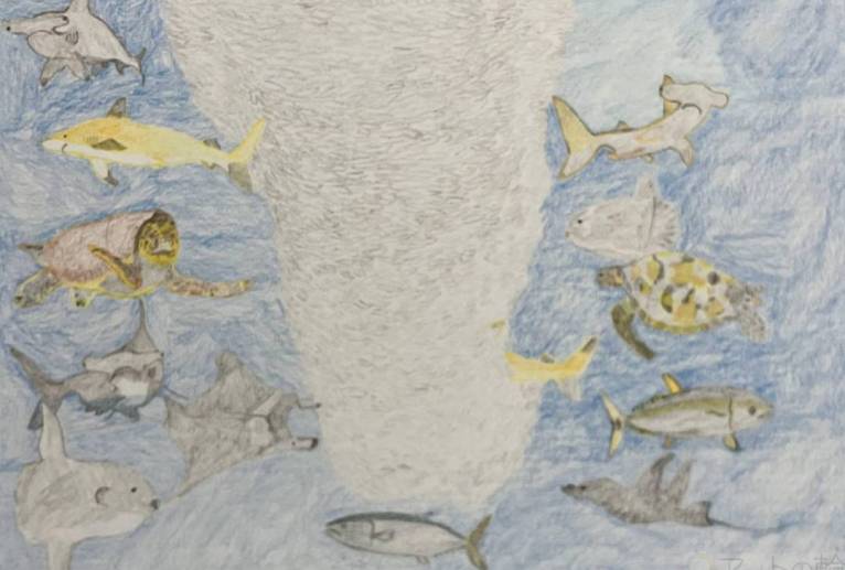 イワシトルネードの回りを泳ぐ海の仲間たち - ユリアルメリア 