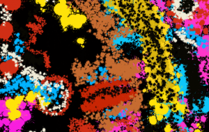 Rock Legend - hakaalash