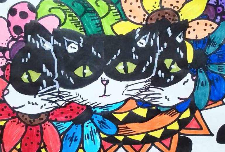 猫の顔も三度まで